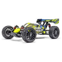 HobbyTech Rogue Buggy...