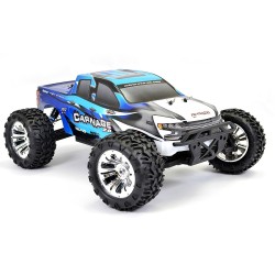FTX Truck Carnage 2.0 4wd Brushed 1/10 RTR